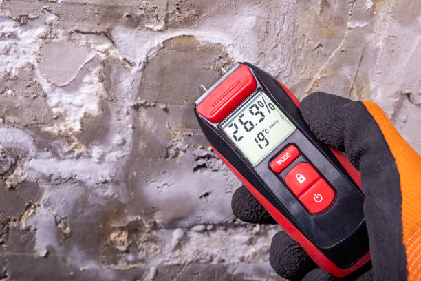 Best Attic Mold Remediation in Hays, NC
